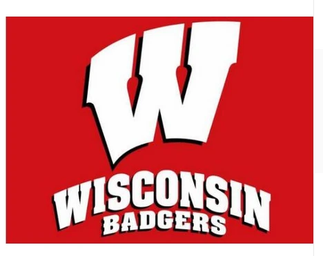 Wisconsin Badgers Flag NCAA University of Wisconsin Flag 3X5FT polyester Banner by flagsshop