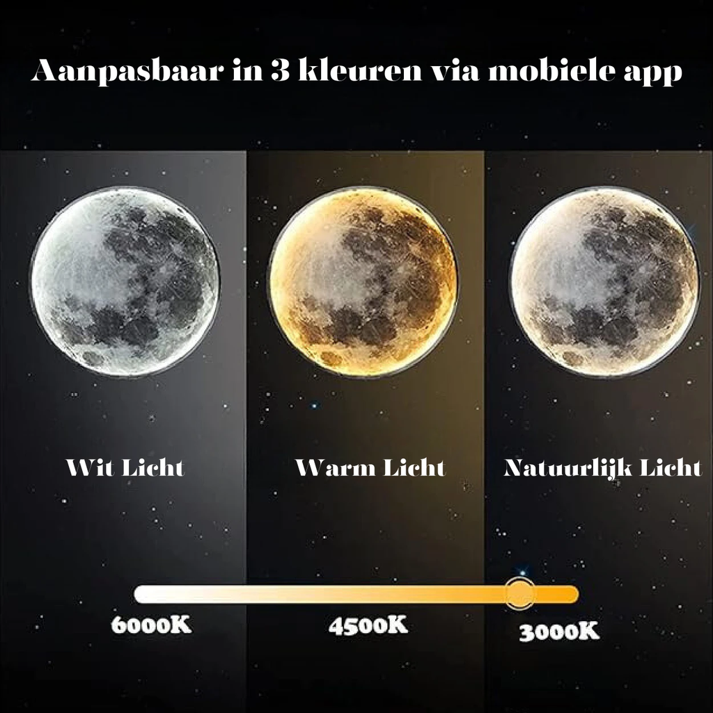 Luna Moon Lamp Bowlift by Bowlift