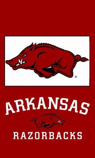 Arkansas Razorbacks banner ,NCAA University of Arkansas flag,90*150CM,3X5FT 100% polyester by flagsshop