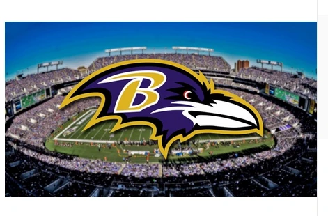 Baltimore Ravens Flag-3x5FT NFL Banner-100% polyester-gloves-champions-super bowl by flagsshop