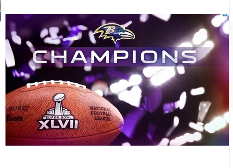 Baltimore Ravens Flag-3x5FT NFL Banner-100% polyester-gloves-champions-super bowl by flagsshop