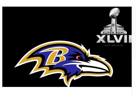Baltimore Ravens Flag-3x5FT NFL Banner-100% polyester-gloves-champions-super bowl by flagsshop
