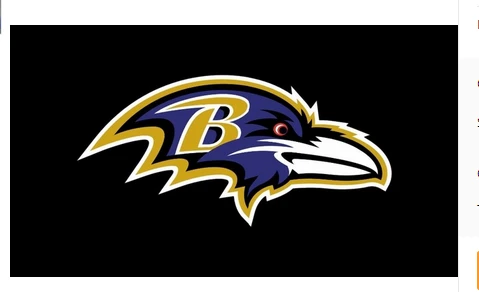Baltimore Ravens Flag-3x5FT NFL Banner-100% polyester-gloves-champions-super bowl by flagsshop