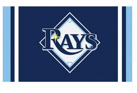 Tampa Bay Devil Rays Flag-3x5FT Banner-100% polyester by flagsshop