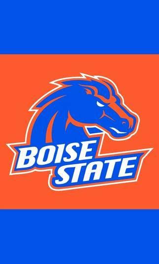 Boise State BroncosBlack Flag 3x5 FT 150X90CM NCAA Boise State University Banner 100D Polyester flag brass grommets by flagsshop