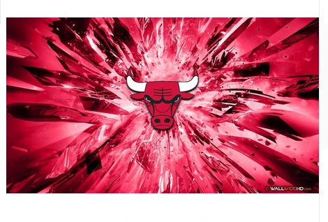 Chicago Bulls Flag-3x5FT Chicago Bull flags Banner-100% polyester by flagsshop