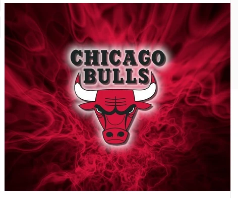 Chicago Bulls Flag-3x5FT Chicago Bull flags Banner-100% polyester by flagsshop