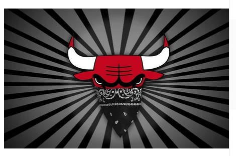 Chicago Bulls Flag-3x5FT Chicago Bull flags Banner-100% polyester by flagsshop