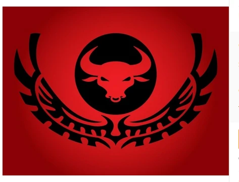 Chicago Bulls Flag-3x5FT Chicago Bull flags Banner-100% polyester by flagsshop
