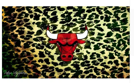 Chicago Bulls Flag-3x5FT Chicago Bull flags Banner-100% polyester by flagsshop
