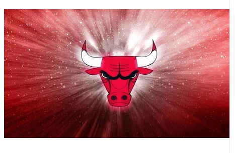 Chicago Bulls Flag-3x5FT Chicago Bull flags Banner-100% polyester by flagsshop