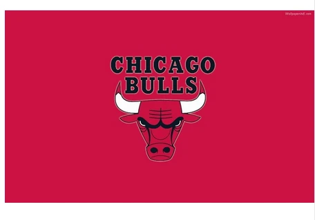 Chicago Bulls Flag-3x5FT Chicago Bull flags Banner-100% polyester by flagsshop