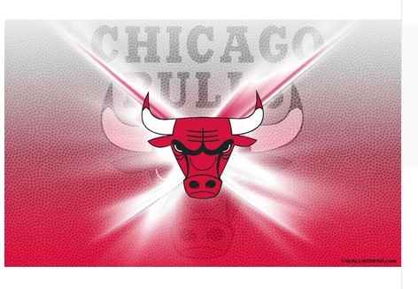 Chicago Bulls Flag-3x5FT Chicago Bull flags Banner-100% polyester by flagsshop