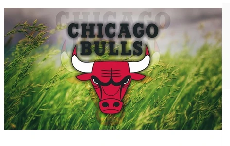 Chicago Bulls Flag-3x5FT Chicago Bull flags Banner-100% polyester by flagsshop