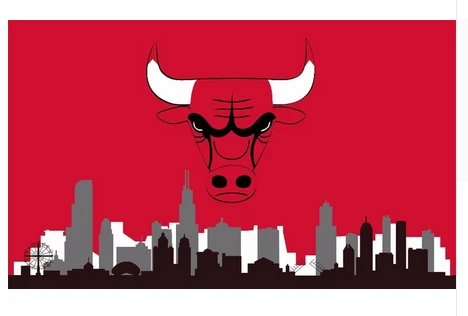 Chicago Bulls Flag-3x5FT Chicago Bull flags Banner-100% polyester by flagsshop