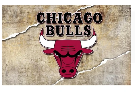 Chicago Bulls Flag-3x5FT Chicago Bull flags Banner-100% polyester by flagsshop