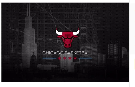 Chicago Bulls Flag-3x5FT Chicago Bull flags Banner-100% polyester by flagsshop