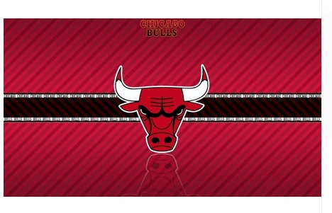 Chicago Bulls Flag-3x5FT Chicago Bull flags Banner-100% polyester by flagsshop