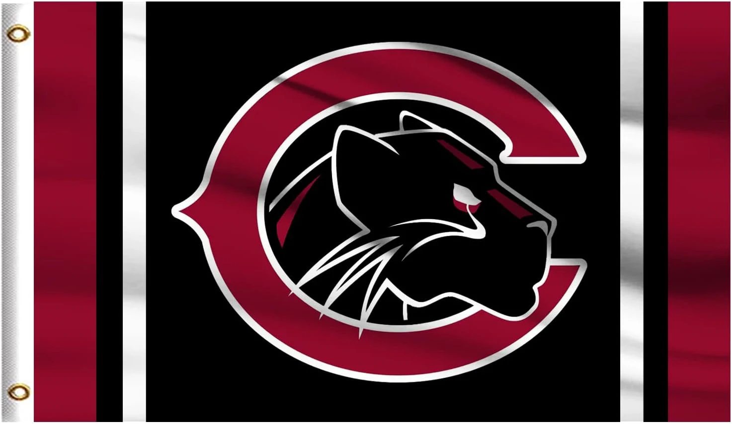 Chapman University Flag -3X5 FT Panthers Banner-100% polyester by flagsshop