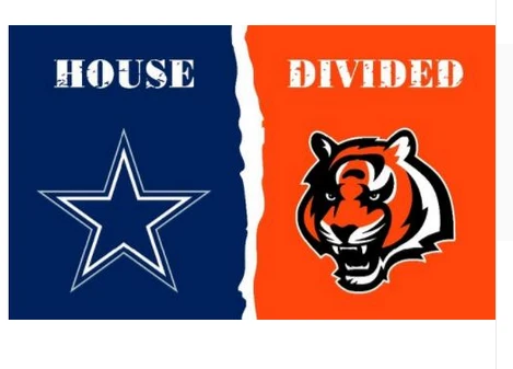 Dallas Cowboys Flag-3x5 NFL Banner-100% polyester-Helmet-Champions by flagsshop