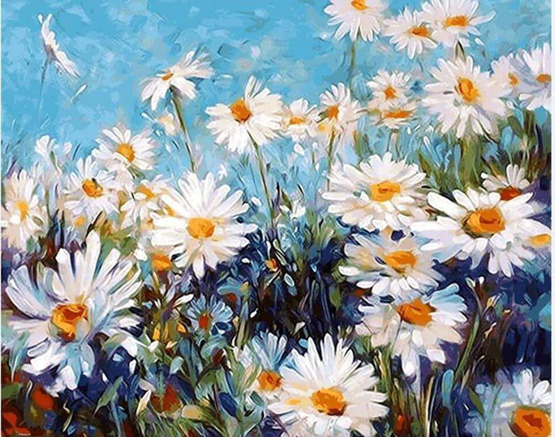 Field of Daisies - Van-Go Paint-By-Number Kit by Bowlift