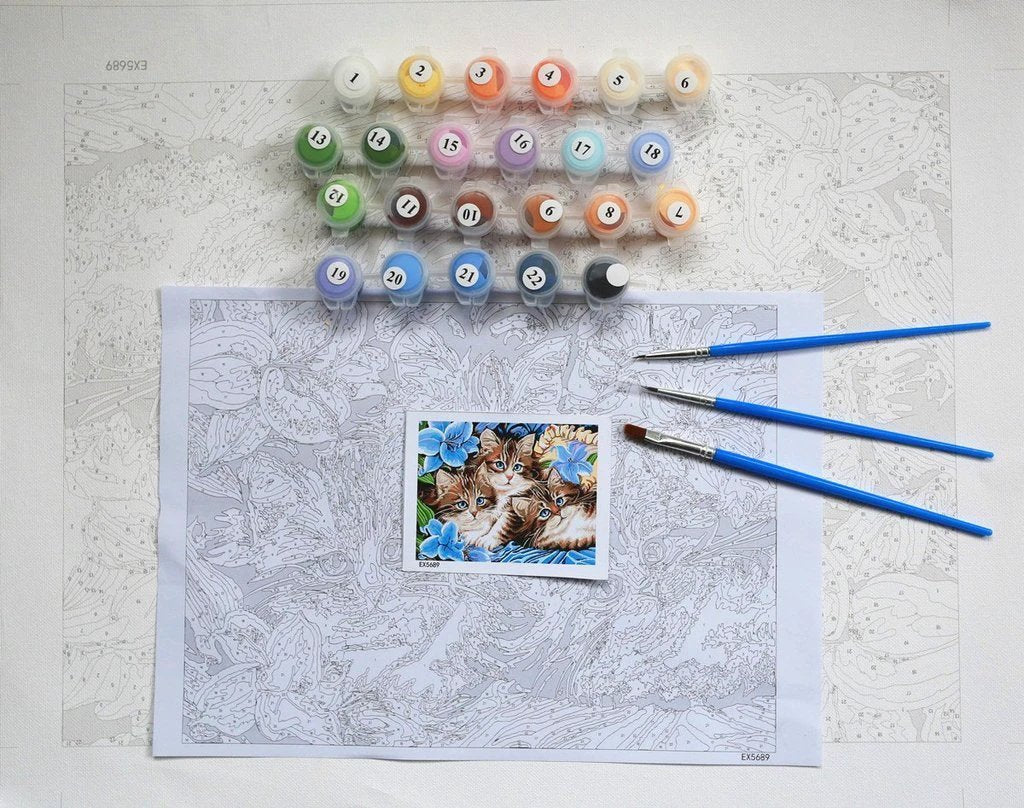 Field of Daisies - Van-Go Paint-By-Number Kit by Bowlift