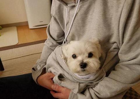 The Doggie Kangaroo Hoodie by Bowlift