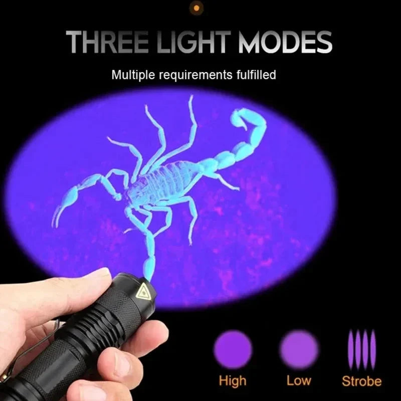 UV Flashlight for Urine and Stains Bowlift by Bowlift