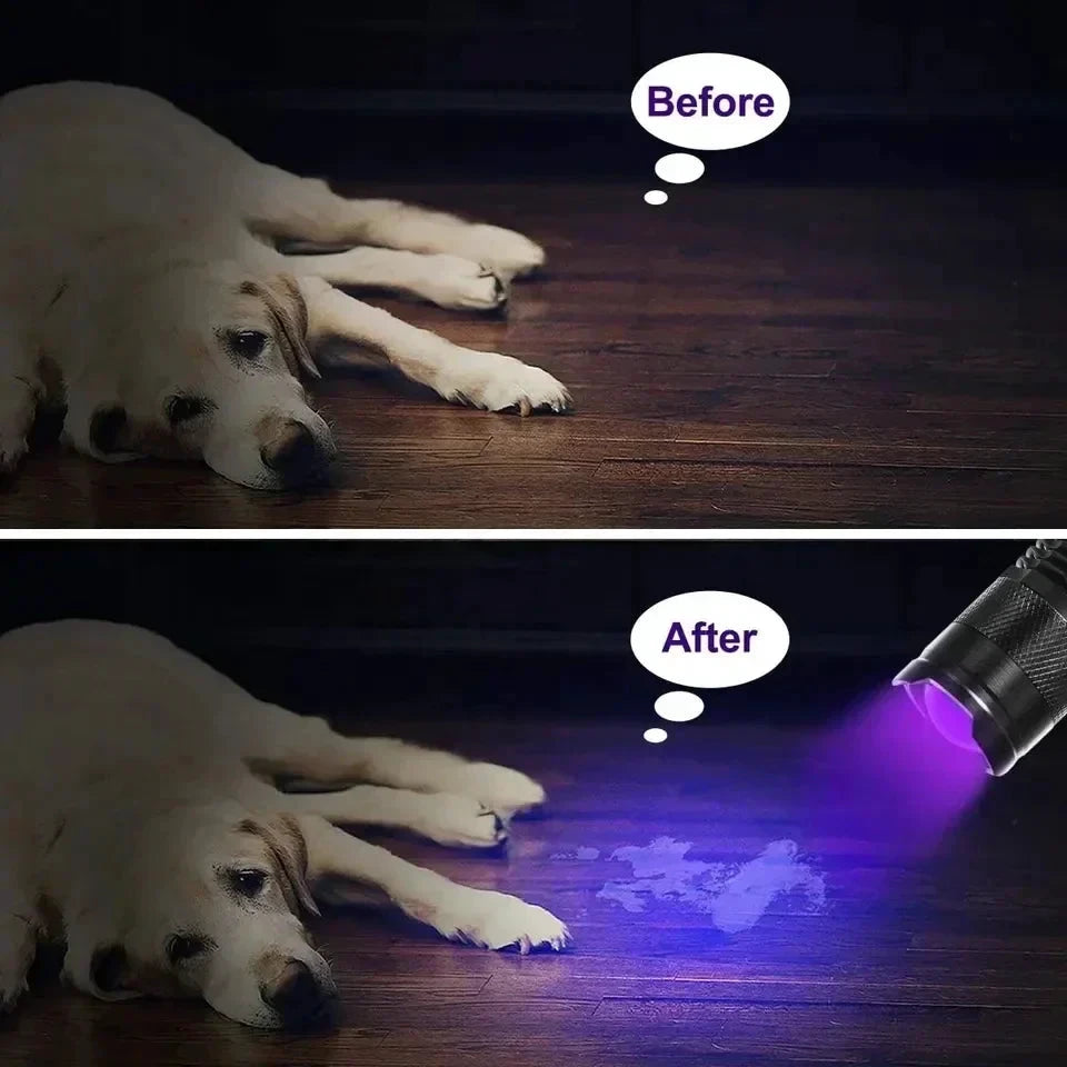 UV Flashlight for Urine and Stains Bowlift by Bowlift