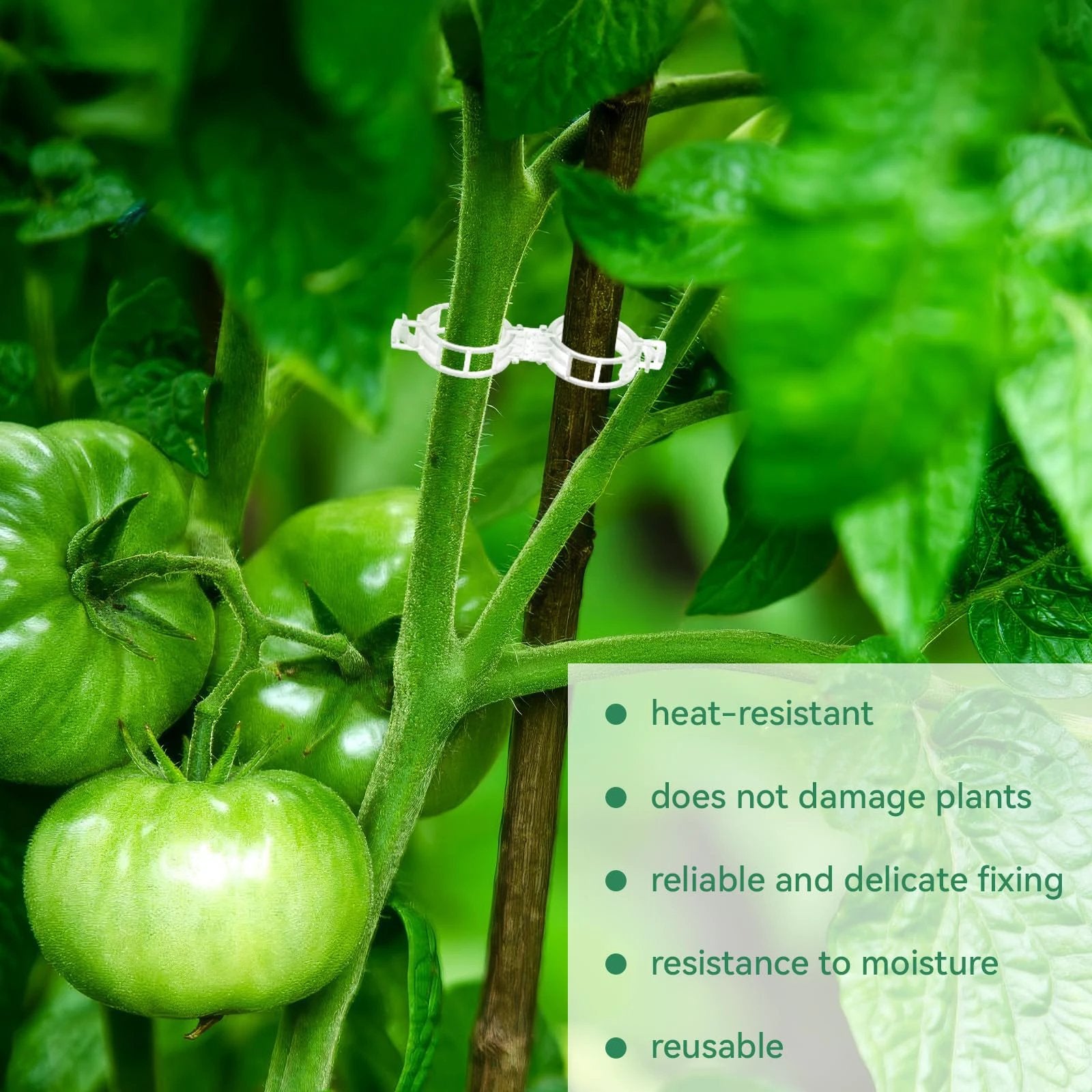 Tomato Clips, Plastic Trellis Clips by BowLift