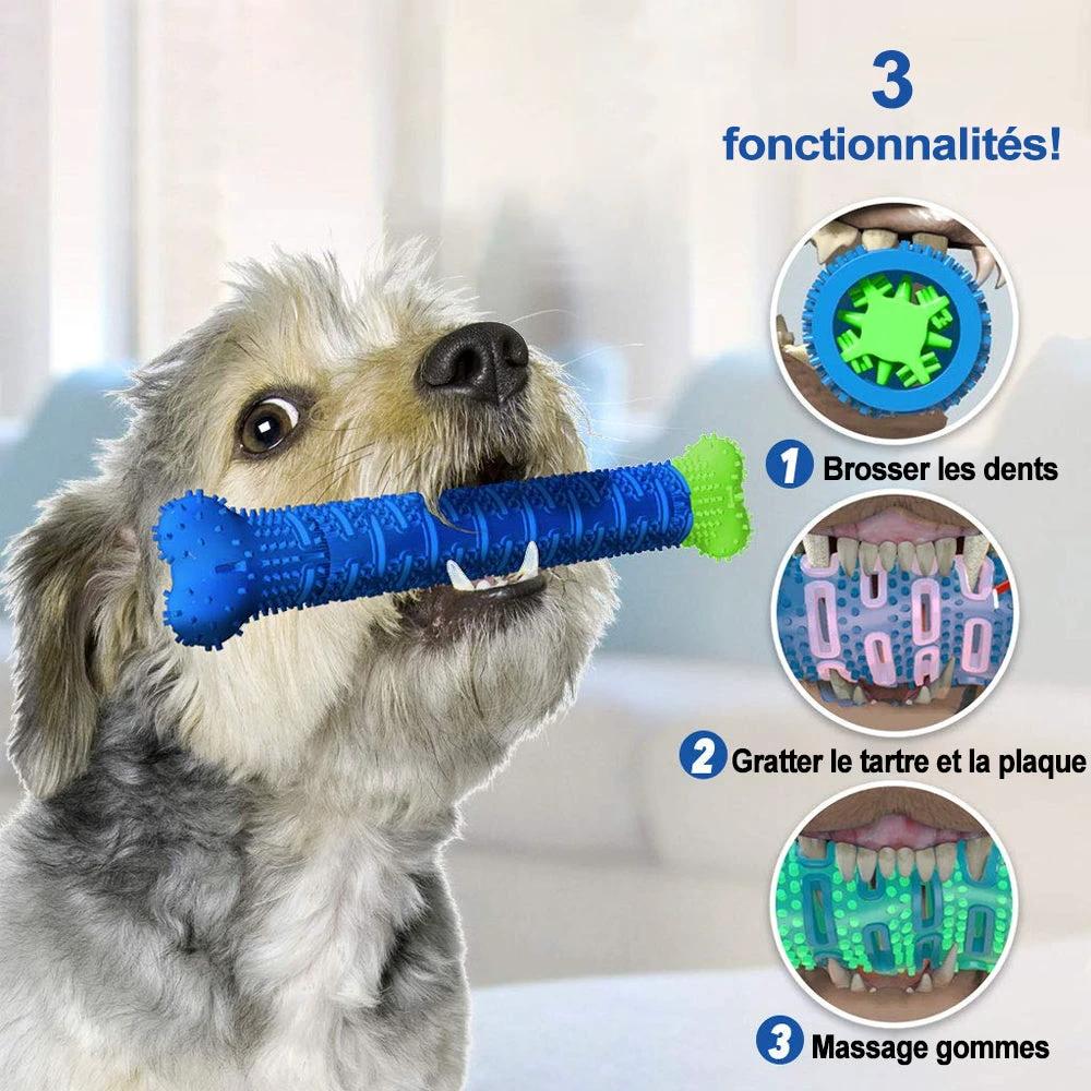 Ciaovie Tier toothbrush by Bowlift