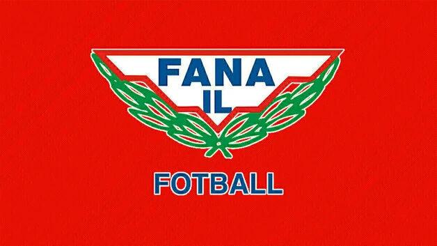 fana il fotball flag -3x5 ft FANA IL football banner by flagsshop