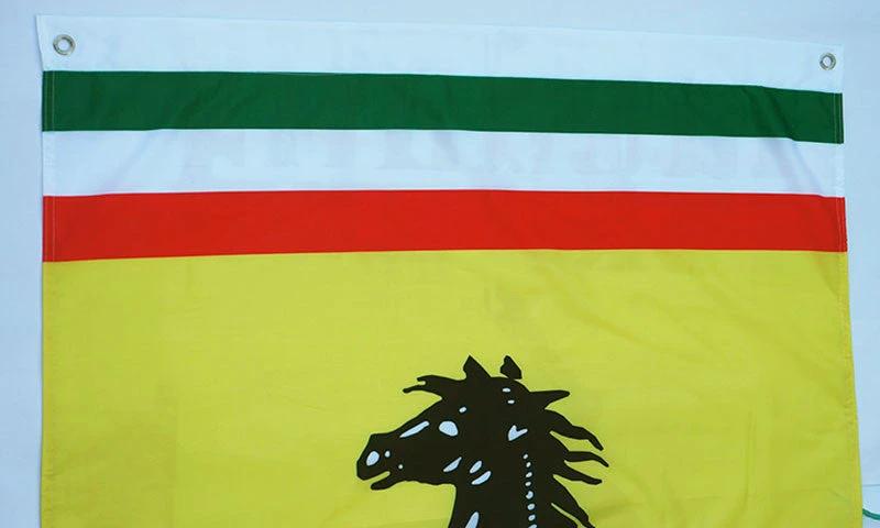 Ferrari checkered Flag for car racing-3x5 FT-100% polyester Banner by flagsshop