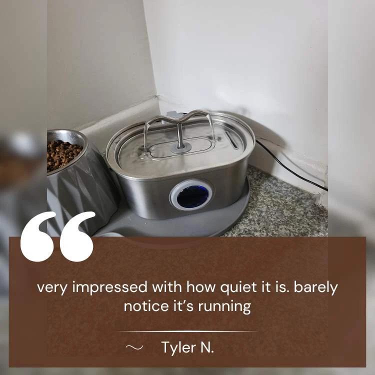Cat Water Fountain made of Stainless Steel – Quiet, Hygienic and BPA-free – 2L Capacity by BowLift