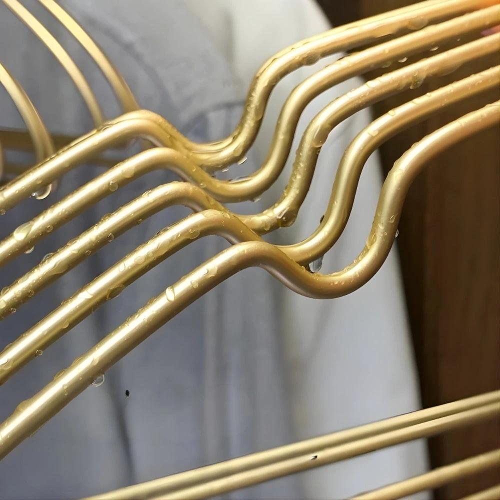 Aurex Clothes Hanger Seamless Non-Bulge Design | 10pcs Set by Casa & Beyond