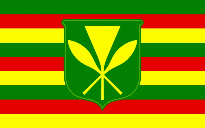 Kanaka Maoli Hawaii Flag-3x5ft Banner- Hawaii Historical Native Hawaiian by flagsshop