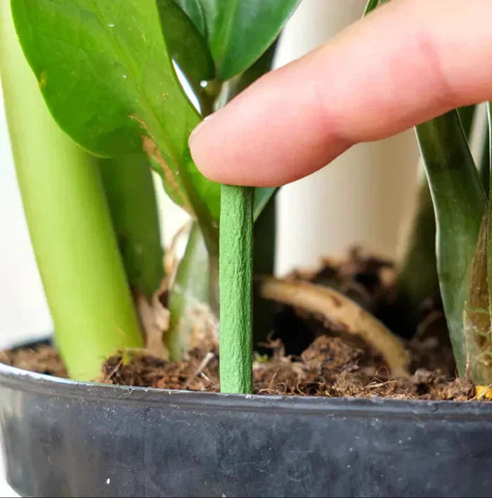 Long-lasting Fertilizer for Easy and Sustainable Plant Care Bowlift by Bowlift
