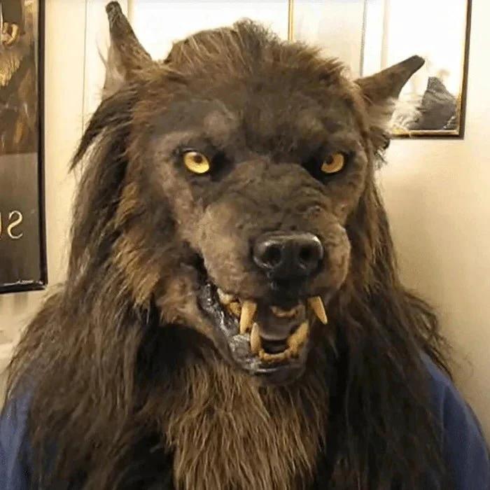 LUPINMASK – Realistic Werewolf Mask for Halloween & Cosplay by BowLift