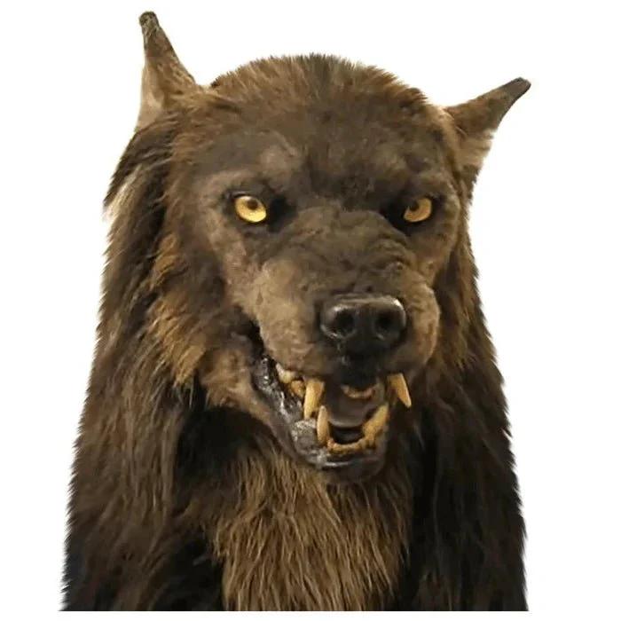 LUPINMASK – Realistic Werewolf Mask for Halloween & Cosplay by BowLift
