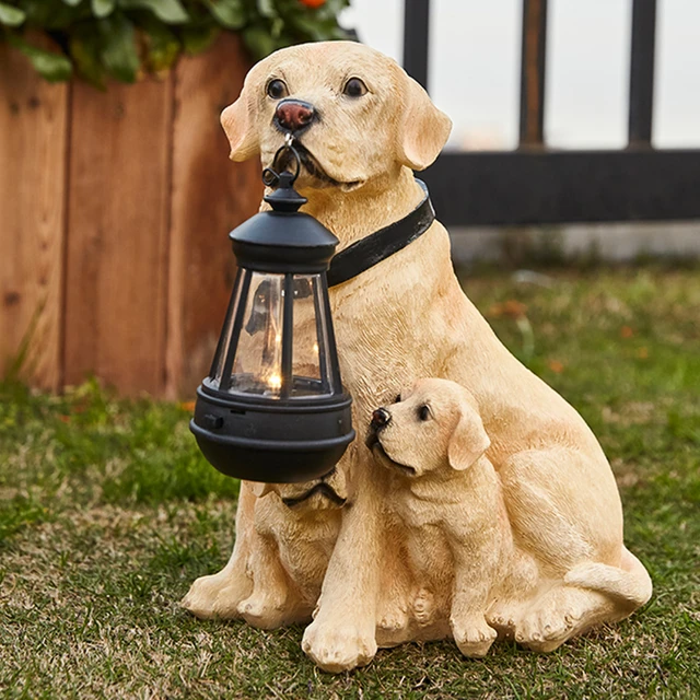 Playful Paws Solar Lamp Bowlift by Bowlift