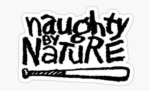 Naughty by nature Flag -3x5 FT Banner-100% polyester-2 Metal Grommets by flagsshop