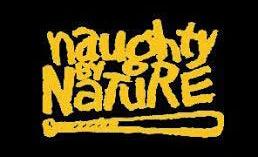 Naughty by nature Flag -3x5 FT Banner-100% polyester-2 Metal Grommets by flagsshop