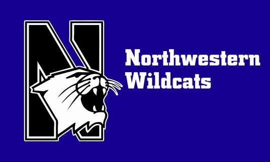 Northwestern Wildcats flag 3x5ft 100% polyester,NCAA Northwestern University Banner by flagsshop