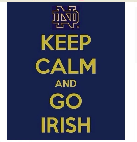 Notre Dame Fighting Irish flag 100% Polyester 3x5ft NCAA The University of Notre Dame Banner by flagsshop