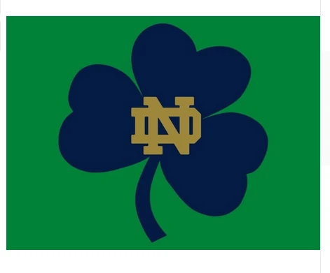 Notre Dame Fighting Irish flag 100% Polyester 3x5ft NCAA The University of Notre Dame Banner by flagsshop