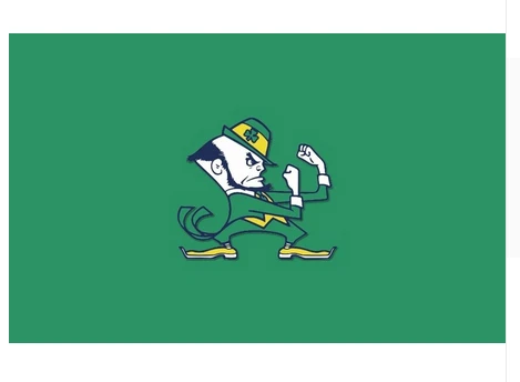 Notre Dame Fighting Irish flag 100% Polyester 3x5ft NCAA The University of Notre Dame Banner by flagsshop