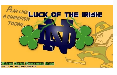 Notre Dame Fighting Irish flag 100% Polyester 3x5ft NCAA The University of Notre Dame Banner by flagsshop