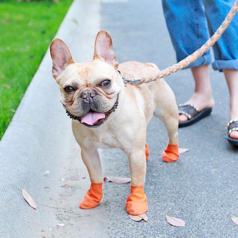 PootShield Waterproof Dog Shoes with Grip and Protective Comfort by BowLift