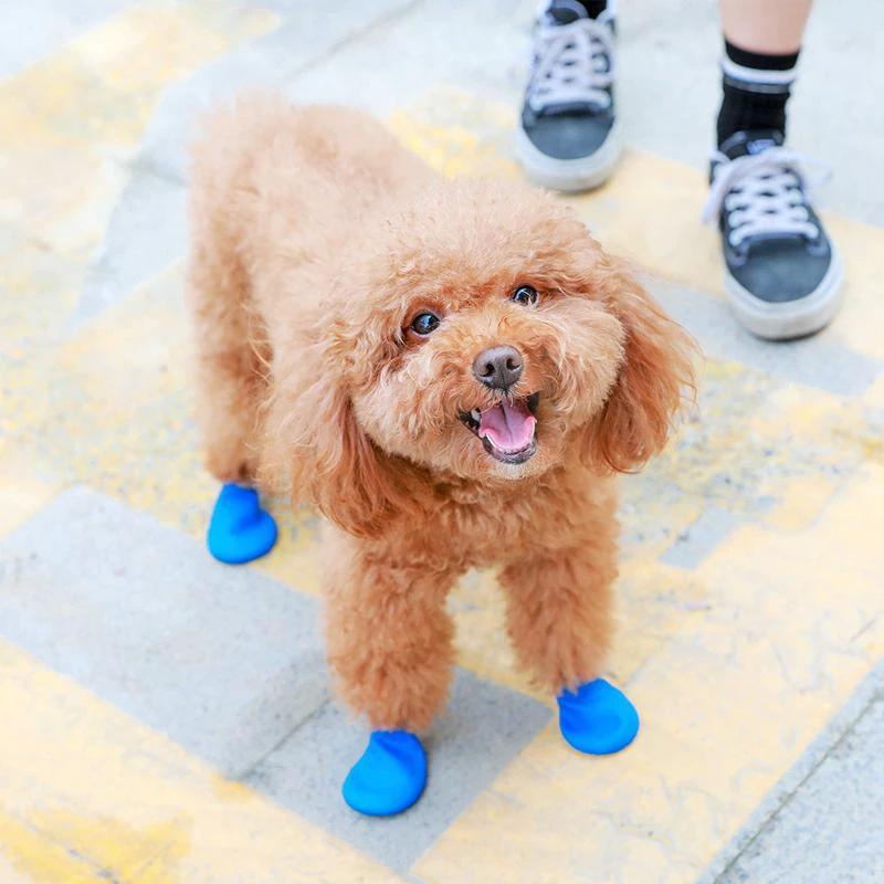 PootShield Waterproof Dog Shoes with Grip and Protective Comfort by BowLift