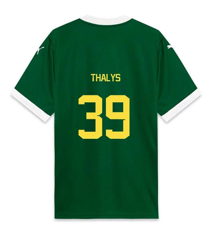 Palmeiras THALYS 39 Home 2025-26 Jersey – Green by Soccer Jersey